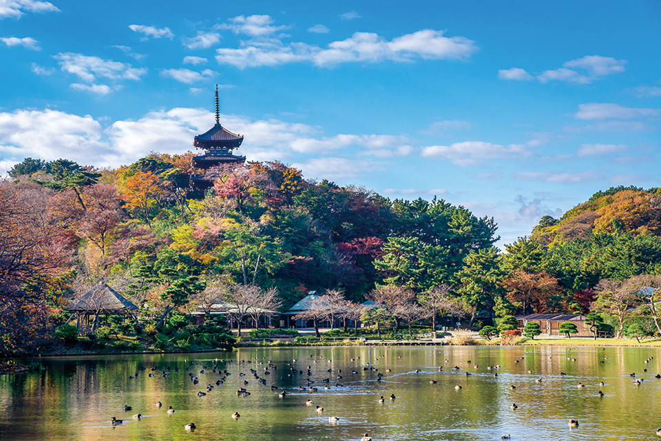 National designated spot of Scenic Beauty Sankeien Garden